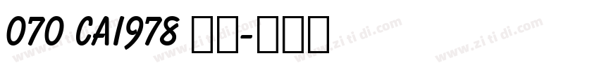 070 CAI978 字体字体转换